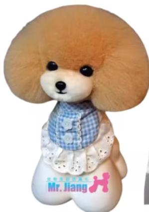 Mr Jiang Teddy Bear Head Model Dog (Model Only)